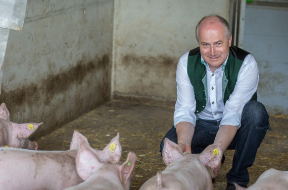 Die Unterstützung der heimischen Schweinewirtschaft ist Agrarlandesrat Seitinger sehr wichtig.   © Oliver Wolf