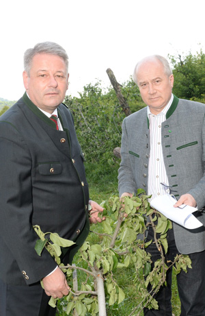 BM-Rupprechter-LR-Seitinger_2