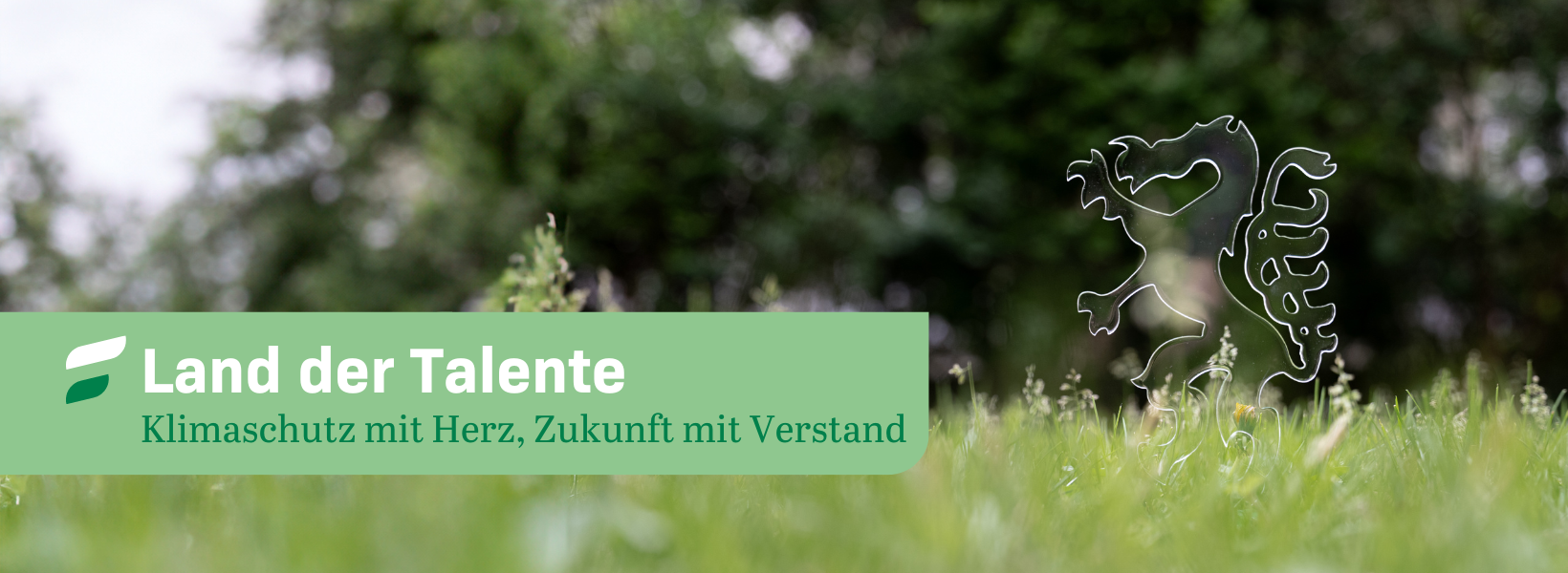 Header Homepage STVP (3)